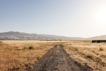 Sunny summer landscape in California. Scenic landscape with mountains, yellow grass in the foreground, clear sky on a sunny day.