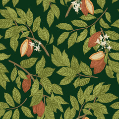 Seamless pattern with cocoa plants. Green branches with fruits on a dark background. Vector botanical illustration.