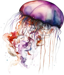 Poster - Jellyfish watercolor png