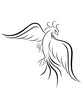 Bird_15_06_23Black graceful Firebird contour isolated over white, hand drawing vector illustration