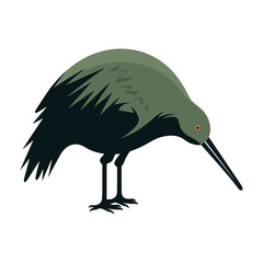 Wall Mural - cartoon exotic kiwi bird