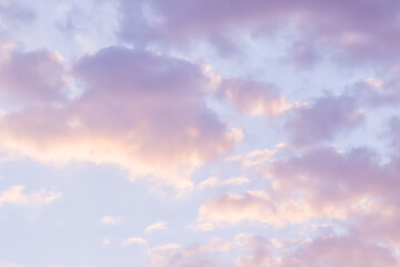 Wall Mural - Blue sky background with pale pink clouds at sunset