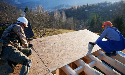 Wall Mural - Carpenters mounting wooden OSB panel on rooftop of future cottage. Men workers building wooden frame house. Carpentry and construction concept.