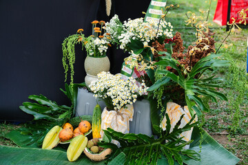 Natural decoration in the corner of a terraced house