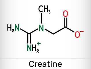 Sticker - Creatine molecule, food supplements. Structural chemical formula.