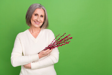 Sticker - Photo of dreamy grey hair pretty woman mature age retired hold bunch cotton fresh flower spring season isolated on green color background