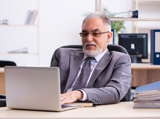 Wall Mural - Old male employee working in the office