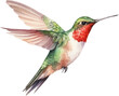 Bird hummingbird Watercolor Illustration.Generative AI