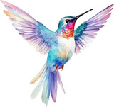 Bird hummingbird Watercolor Illustration.Generative AI