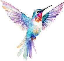 Bird Hummingbird Watercolor Illustration.Generative AI