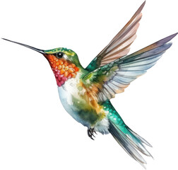 bird hummingbird watercolor illustration.generative ai