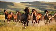  A Herd Of Horses Running Through A Field Of Tall Grass.  Generative Ai