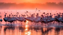 A Flock Of Flamingos Standing In The Water At Sunset.  Generative Ai