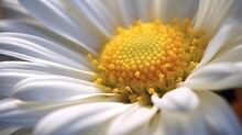  A Close Up Of A White Flower With Yellow Stamen.  Generative Ai