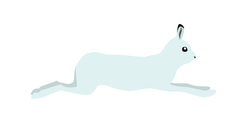 Wall Mural - Animal illustration. Running polar hare drawn in a flat style. Isolated object on a white background. Vector 10 EPS