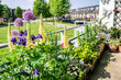 Flowering summer balcony. Growing flowers in flower pots and containers on the balcony. Blooming balconies and private gardens in Almere, The Netherlands.