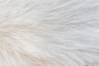 beautiful abstract white fur texture background