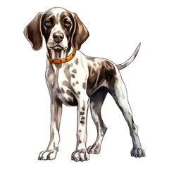 Sticker - German shorthaired pointer watercolor illustration isolated on transparent background - Generative AI