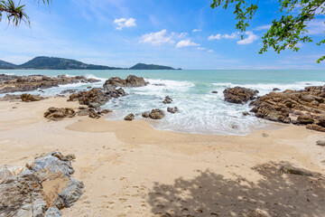 Wall Mural - The Summer holiday and vacation background concept of beautiful leaves frame trees on tropical beach in summer season