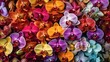  a group of multicolored orchids are arranged together.  generative ai