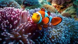  a clown fish is swimming in the water among corals.  generative ai