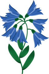 Wall Mural - blue bell flower on transparent background