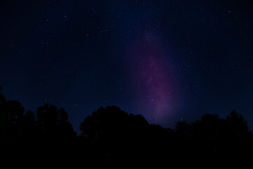 Wall Mural - milky way rising above a dark forest