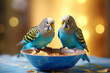 happy and healthy budgies enjoying a bowl of premium pet food Generative AI