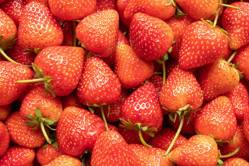 Canvas Print - Fresh organic red strawberry fruit background