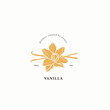 © Maria - Flat vector vanilla flower illustration