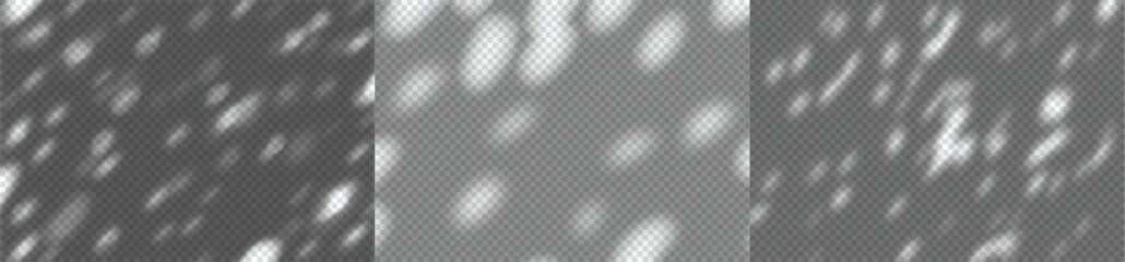 Aufkleber - Vector Background with Realistic Shadow of Plant on the Wall with Sun Light Reflection. Transparent Overlay Bg. Dappled Blurred Sundy Bokeh