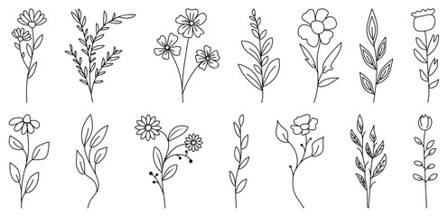 Set of wild flowers and leaves. Hand drawn line branches and blooming. Can use for wedding invitations, greeting cards, posters and others.