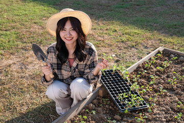 Young Asian woman planting vegetables in her backyard .