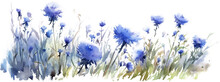 Field Cornflower Watercolor On A Transparent Background Glade