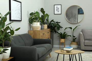 Canvas Print - Stylish room with comfortable sofa and beautiful houseplants. Interior design