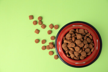 Wall Mural - Dry dog food and feeding bowl on light green background, flat lay. Space for text
