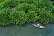 © Hien Phung - Aerial view, tourists from Thailand, Korea, America and Japan are relax and experiencing a basket boat tour at the coconut water ( mangrove palm ) forest in Cam Thanh village, Hoi An,Quang Nam,Vietnam