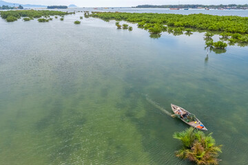 Wall Mural - Aerial view, tourists from Thailand, Korea, America and Japan are relax and experiencing a basket boat tour at the coconut water ( mangrove palm ) forest in Cam Thanh village, Hoi An,Quang Nam,Vietnam