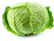 green cabbage isolated on white background. Made with generative ai