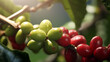 coffee trees close up. Generative Ai. 