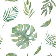 seamless pattern with monstera leaves. Watercolor pattern with leaves. Green seamless background. Watercolor twigs. watercolor floral illustration on a white background.Seamless background with summer