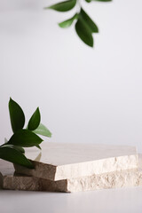 nature stone podium, plant on white background for product,stylish showcase ,mock up for exhibition, presentation of goods ,Exhibition, display podium