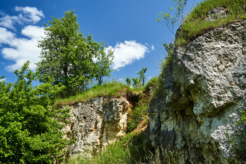 Sticker - Limestone rocks of an old quarry overgrown with trees and bushes