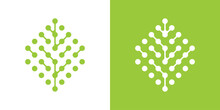 Logo Design Tree Technology Icon Vector Inspiration