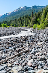 Wall Mural - White River Landscape 12