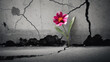 © Marcus Jacobi - young flower in bloom grows out of concrete gap