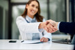 © bnenin - A smiling female doctor handshakes with a male patient across the table.