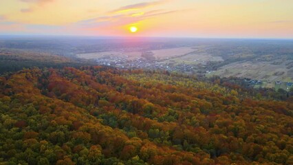 Wall Mural - Aerial view of lush forest with colorful canopies in autumn woods on sunny evening. Landscape of autumnal wild nature at sunset