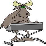 Fototapeta  - Bull moose playing keyboard