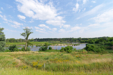 Wall Mural - Island of the Saint-Mesmin National Nature Reserve in Loire valley